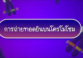 แอนิเมชัน: การถ่ายทอดยีนบนโครโมโซม พารามิเตอร์รูปภาพ 1